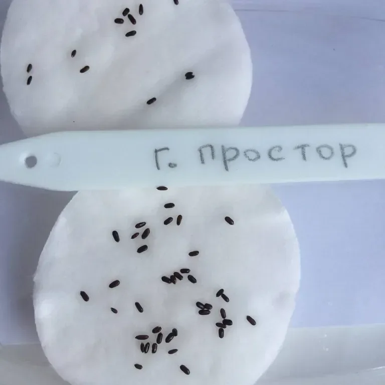 Фотография 1 из 1