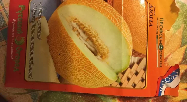 Дыня на балконе