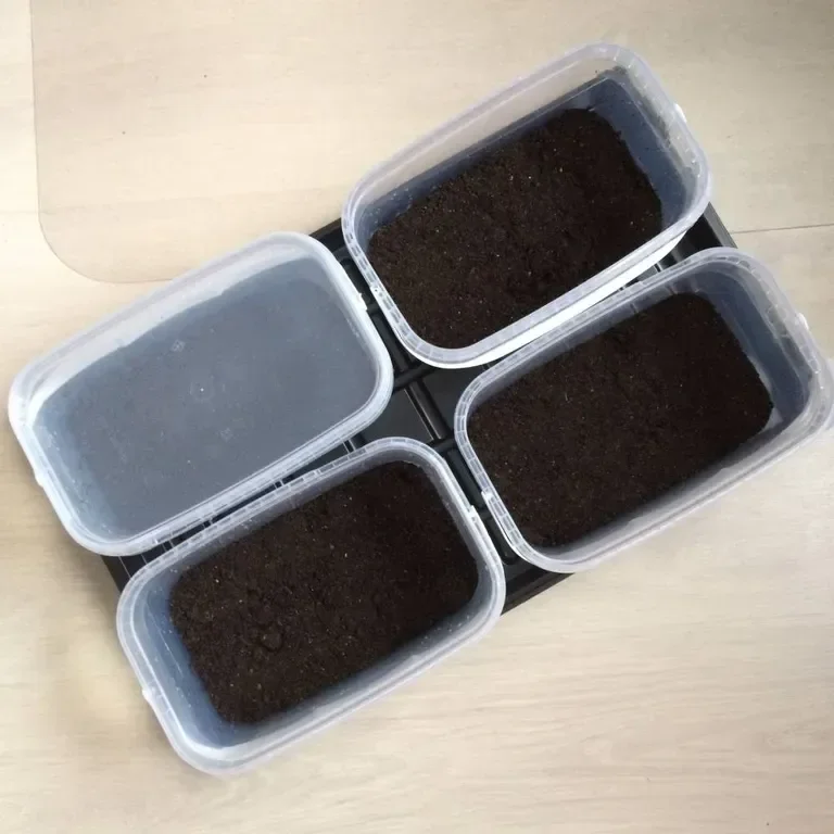 Фотография 1 из 7