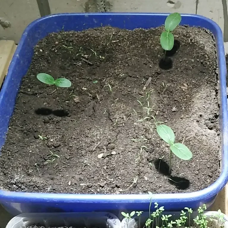 Фотография 1 из 3