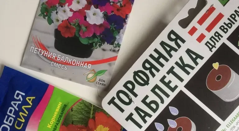 Выращивание петунии шаг за шагом
