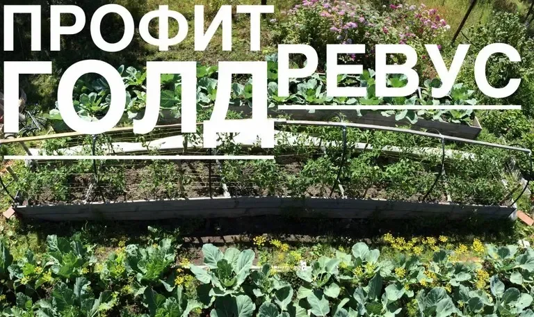 Фотография 1 из 2