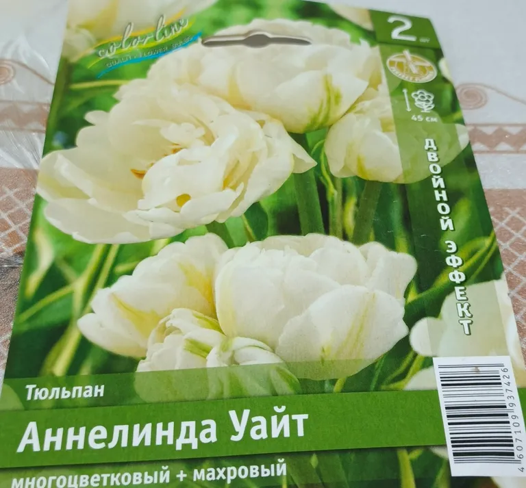 Тюльпан многоцветковый махровый Аннелинда Уайт