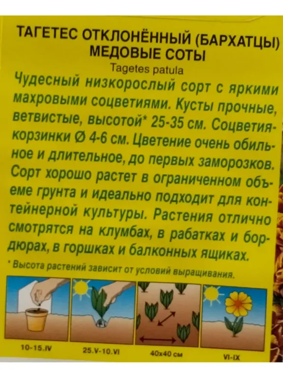 Бархатцы Медовые Соты