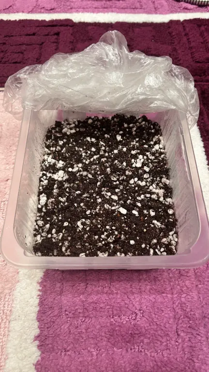 Фото клумбочки.