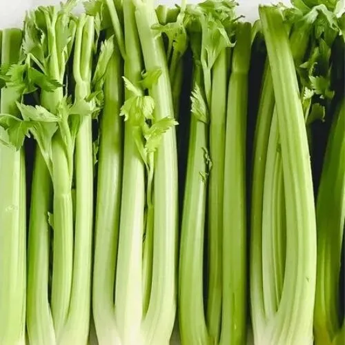 Сельдерей черешковый и листовой Фитнес +