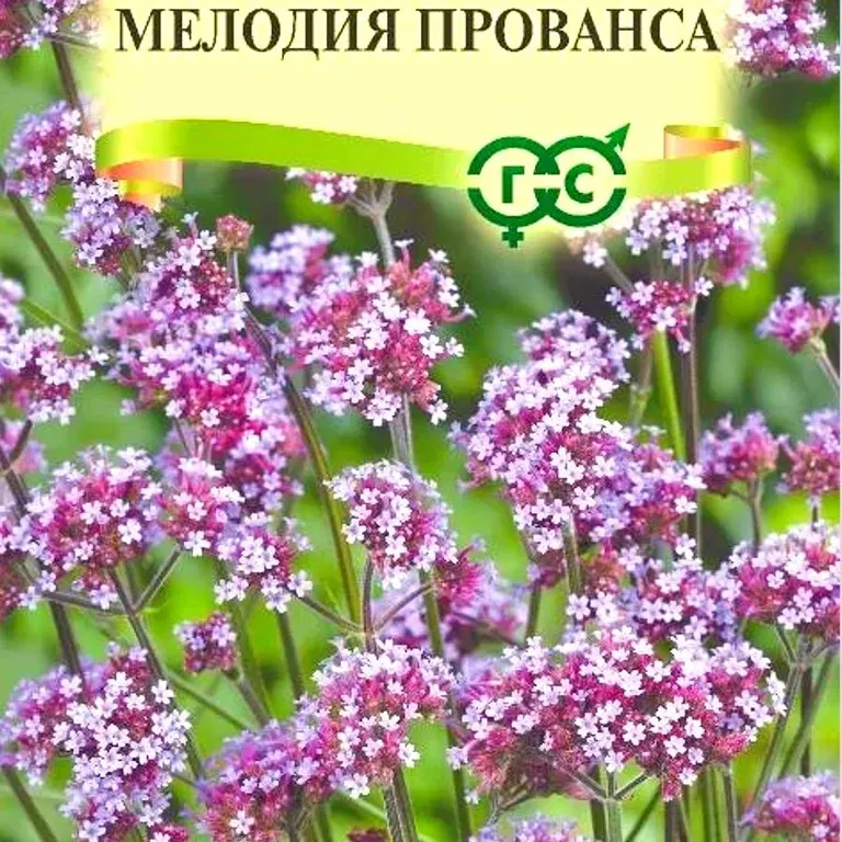 Вербена Бонарская Мелодия Прованса