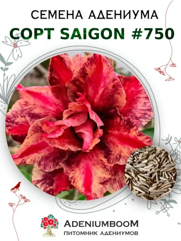 Адениум Тучный от Saigon Adenium № 750