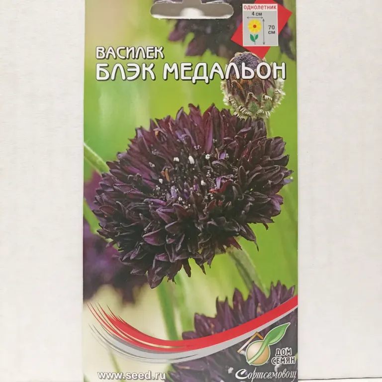 Василёк Блэк Медальон