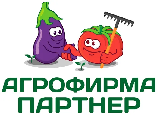 Логотип Партнер