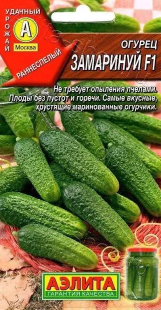 Огурец Замаринуй F1
