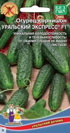 Огурец Уральский экспресс F1 