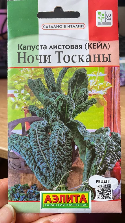 Капуста листовая (кале) Ночи Тосканы