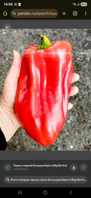 Перец Большая Берта красная