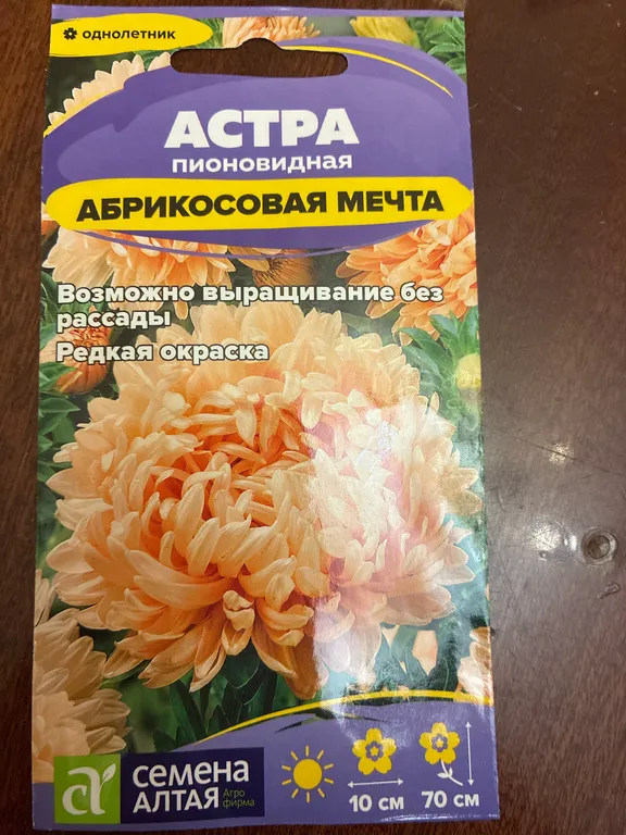 Астра Абрикосовая мечта