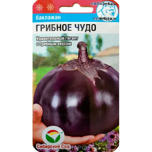 Грибное чудо