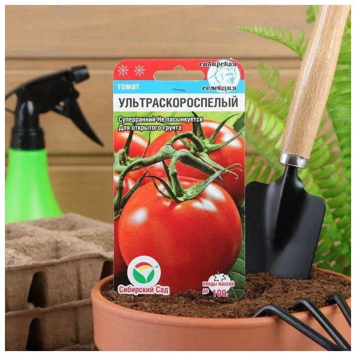 Ультроскороспелый