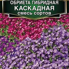 Обриета Гибридная Каскадная смесь сортов