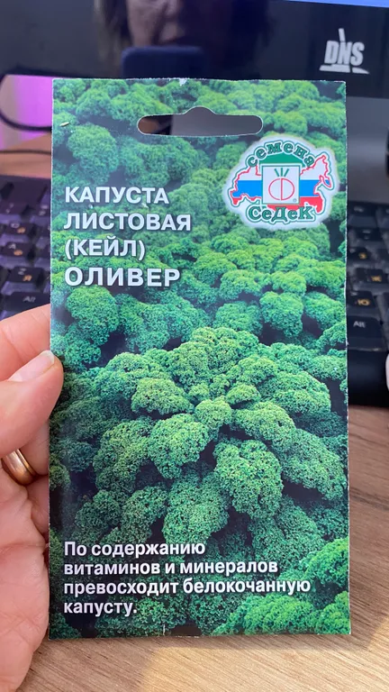 Капуста листовая (кейл) Оливер