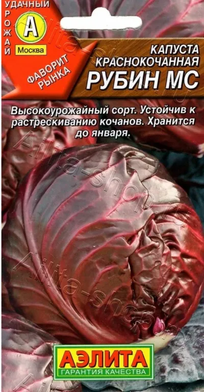 Краснокочанная РУБИН МС