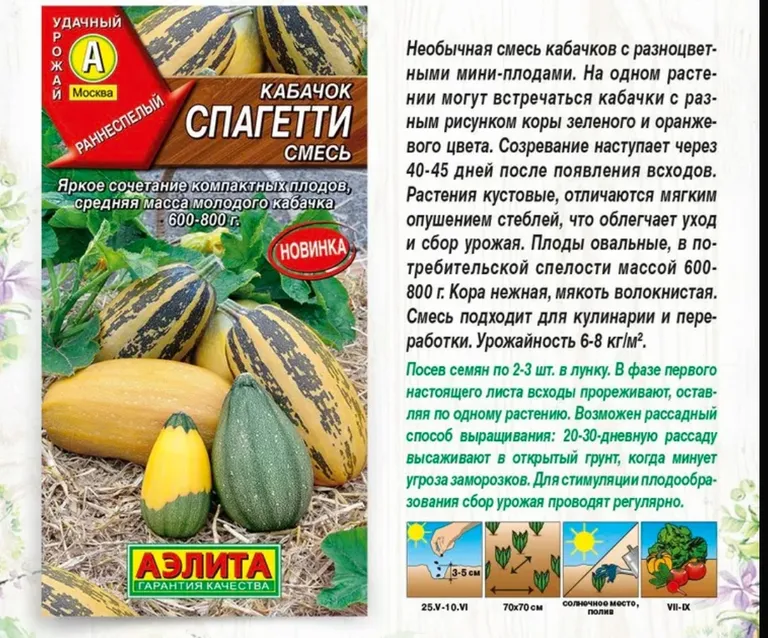 Кабачок Спагетти Порционный F1