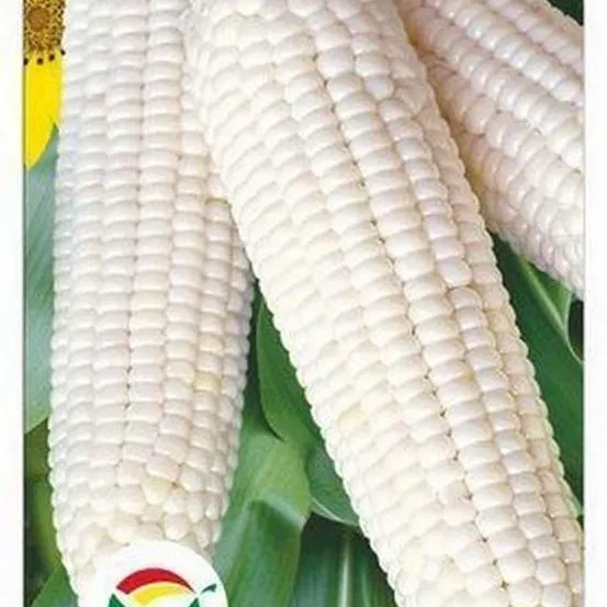 Кукуруза сахарная Белоснежка