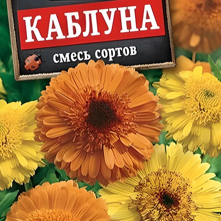 Календула Каблуна смесь сортов