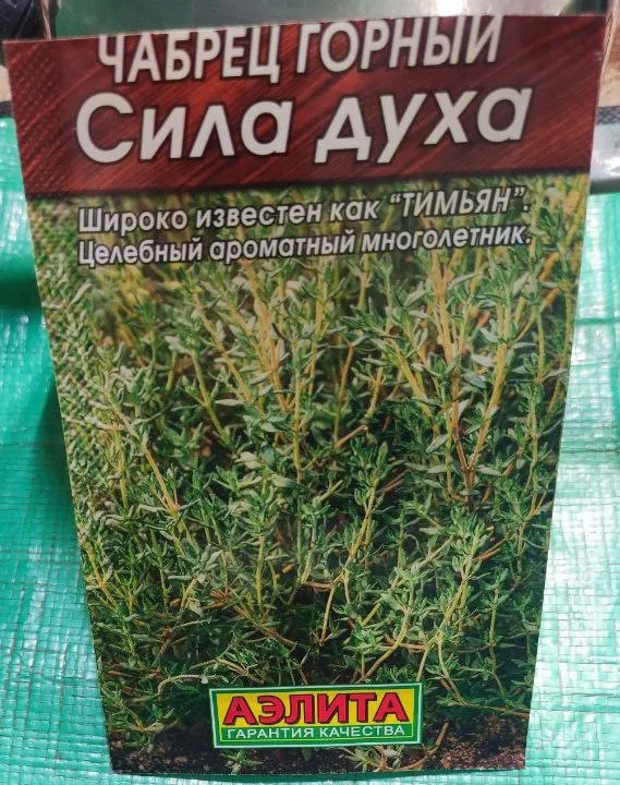 Чабрец Сила духа