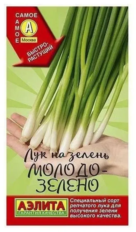 Лук Молодо-зелено