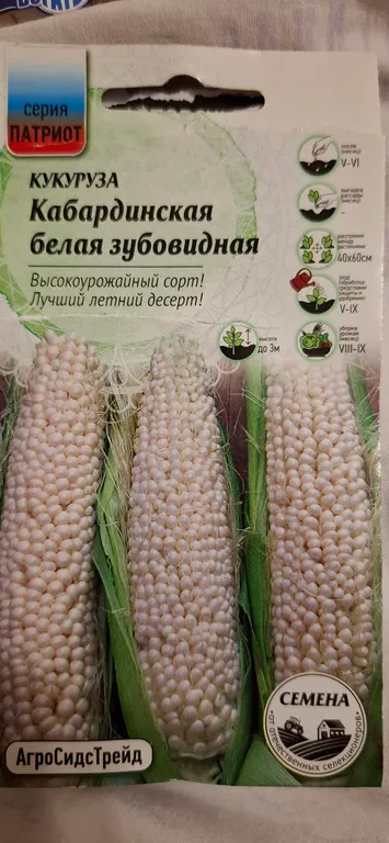 Кабардинская белая зубовидная