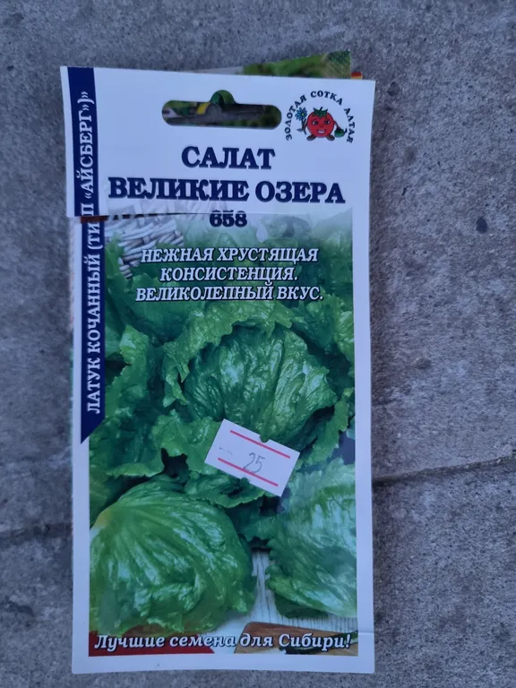 Салат кочанный Великие озера