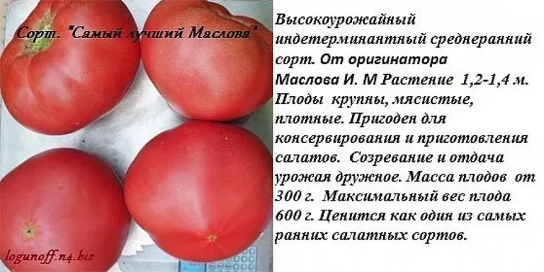 Томат Самые лучшие Маслова