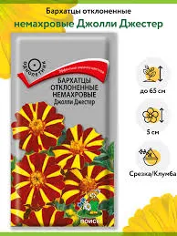 Бархатцы Джолли Джестер