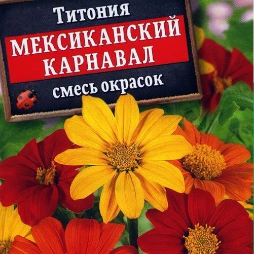 Титония Мексиканский карнавал смесь окрасок