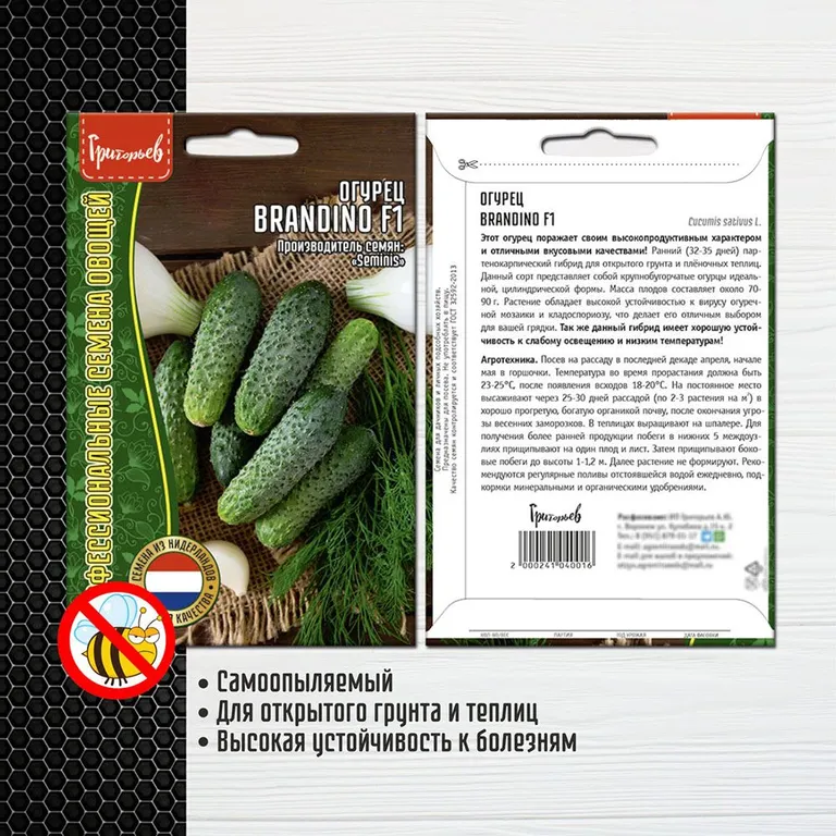 Брандино F1 (Brandino)