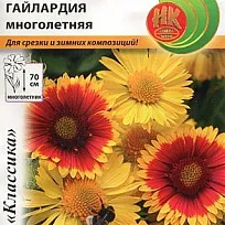 Гайлардия Многолетняя