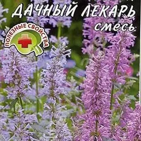 Иссоп Дачный лекарь