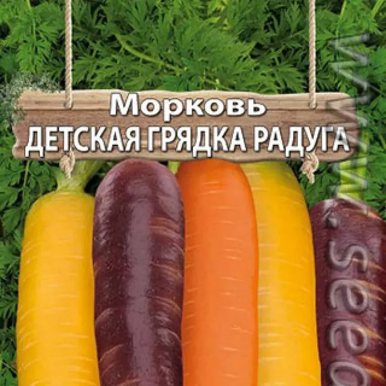 Морковь Детская грядка Радуга