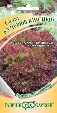Салат Кучеряш красный