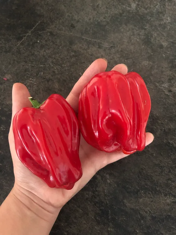 сладкий Креольская кухня