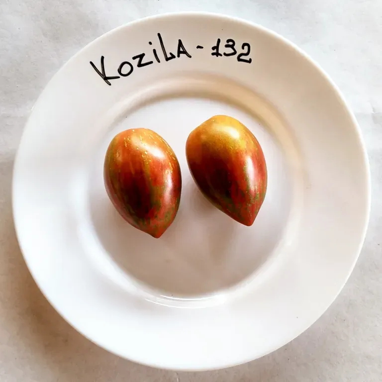 Томат Kozila 132