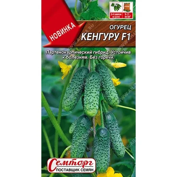 Огурец Кенгуру F1
