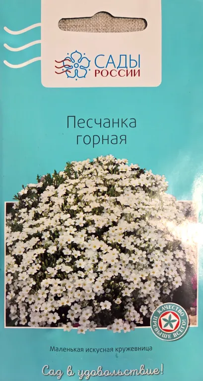 Песчанка Горная белая