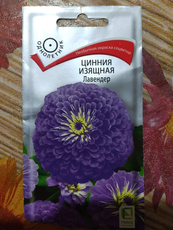 Цинния изящная Лавендер