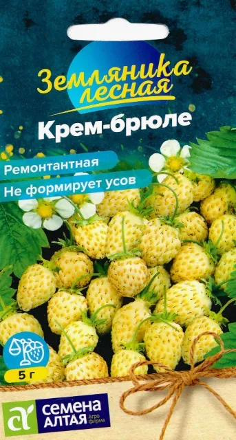 Земляника лесная Крем-брюле