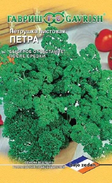 Листовая кудрявая Петра