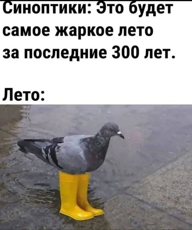 Самое жаркое лето за 300 лет