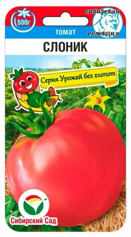 Томат Слоник