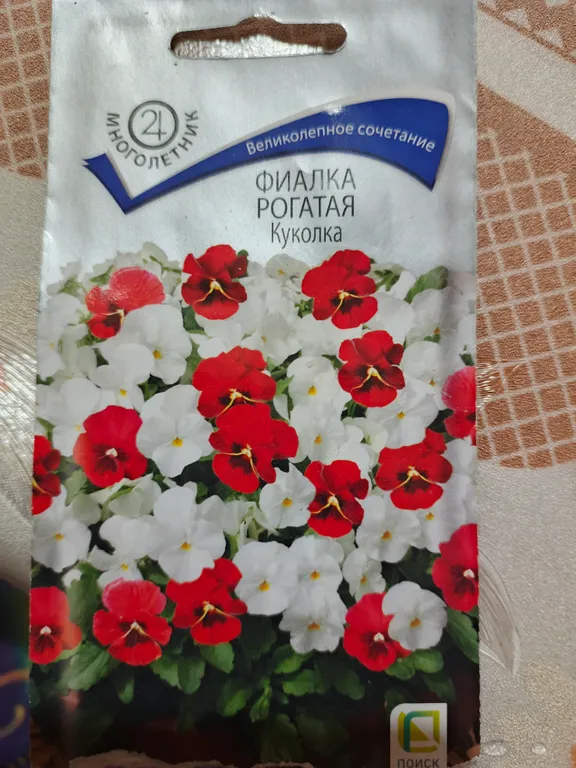 Фиалка рогатая Куколка