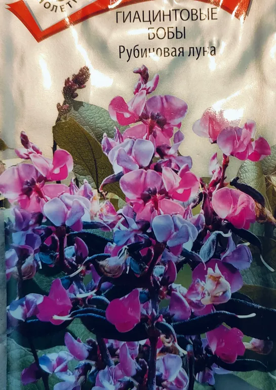 Гиацинтовые бобы Рубиновая луна